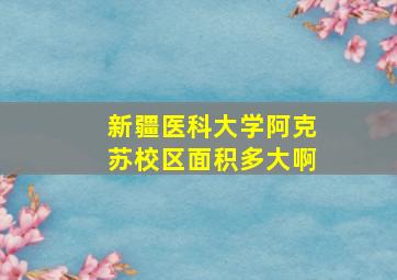 新疆医科大学阿克苏校区面积多大啊