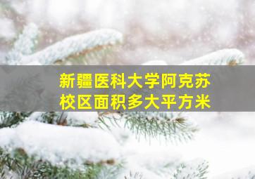 新疆医科大学阿克苏校区面积多大平方米