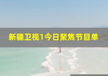 新疆卫视1今日聚焦节目单