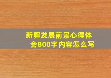 新疆发展前景心得体会800字内容怎么写