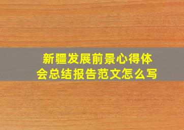 新疆发展前景心得体会总结报告范文怎么写