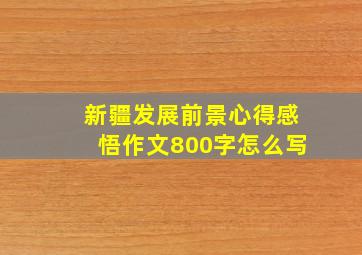 新疆发展前景心得感悟作文800字怎么写