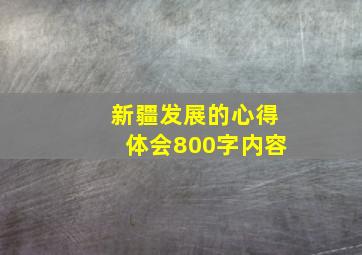 新疆发展的心得体会800字内容