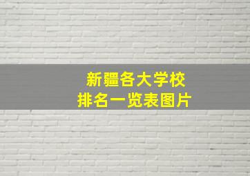 新疆各大学校排名一览表图片