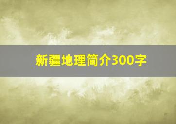 新疆地理简介300字