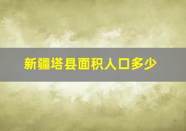 新疆塔县面积人口多少