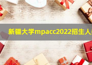 新疆大学mpacc2022招生人数