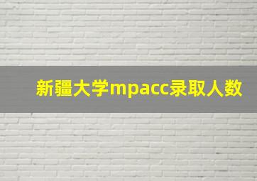 新疆大学mpacc录取人数