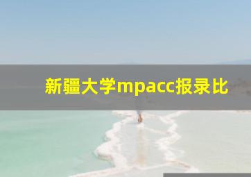 新疆大学mpacc报录比