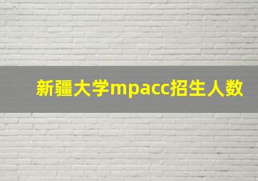 新疆大学mpacc招生人数