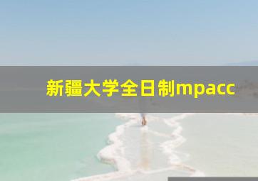 新疆大学全日制mpacc