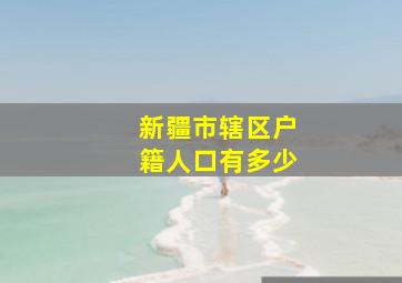 新疆市辖区户籍人口有多少