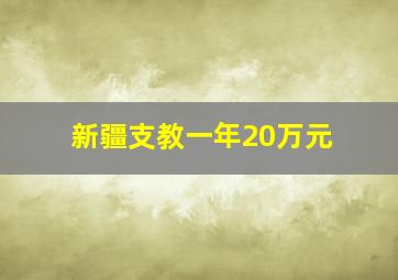 新疆支教一年20万元