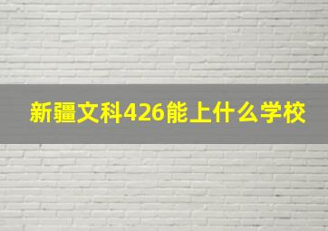 新疆文科426能上什么学校