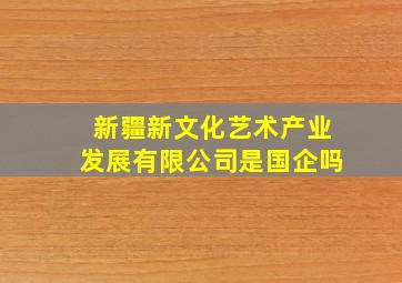 新疆新文化艺术产业发展有限公司是国企吗