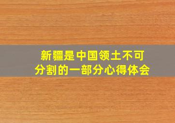 新疆是中国领土不可分割的一部分心得体会