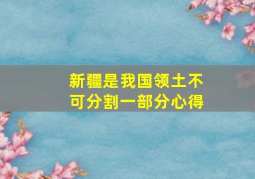 新疆是我国领土不可分割一部分心得