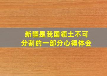 新疆是我国领土不可分割的一部分心得体会