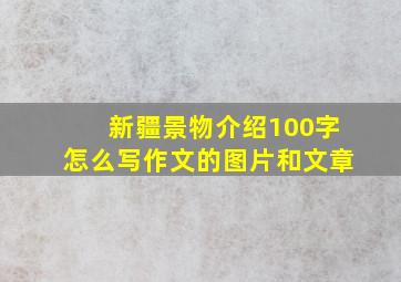 新疆景物介绍100字怎么写作文的图片和文章