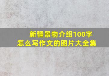 新疆景物介绍100字怎么写作文的图片大全集