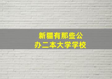 新疆有那些公办二本大学学校