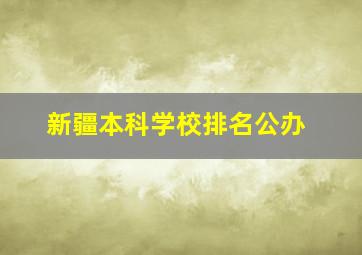 新疆本科学校排名公办