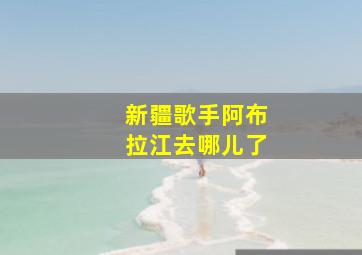 新疆歌手阿布拉江去哪儿了