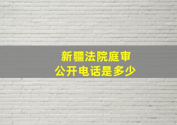 新疆法院庭审公开电话是多少