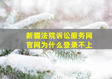 新疆法院诉讼服务网官网为什么登录不上