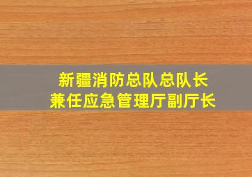 新疆消防总队总队长兼任应急管理厅副厅长