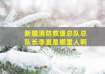 新疆消防救援总队总队长李寰是哪里人啊