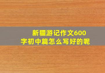 新疆游记作文600字初中篇怎么写好的呢