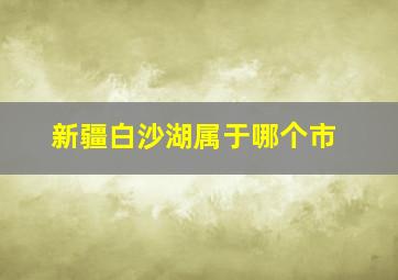 新疆白沙湖属于哪个市