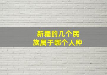 新疆的几个民族属于哪个人种