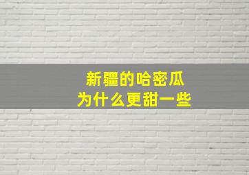 新疆的哈密瓜为什么更甜一些