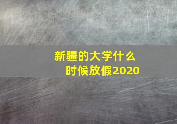 新疆的大学什么时候放假2020