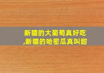 新疆的大葡萄真好吃,新疆的哈密瓜真叫甜