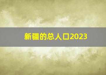 新疆的总人口2023