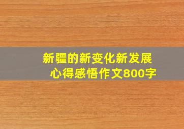 新疆的新变化新发展心得感悟作文800字