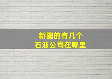 新疆的有几个石油公司在哪里