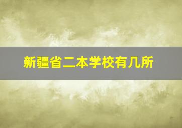 新疆省二本学校有几所