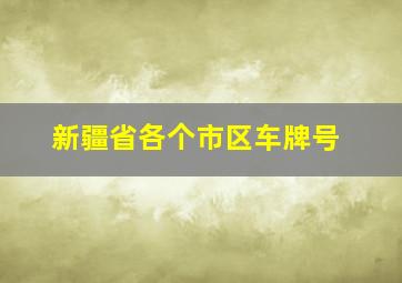 新疆省各个市区车牌号