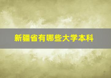 新疆省有哪些大学本科