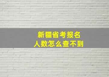 新疆省考报名人数怎么查不到