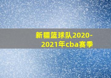 新疆篮球队2020-2021年cba赛季