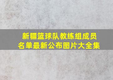 新疆篮球队教练组成员名单最新公布图片大全集