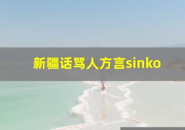 新疆话骂人方言sinko