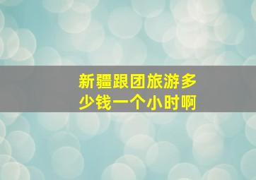 新疆跟团旅游多少钱一个小时啊