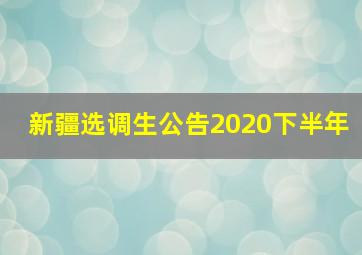 新疆选调生公告2020下半年