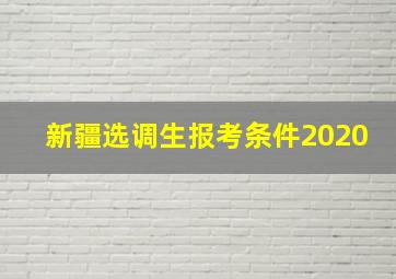 新疆选调生报考条件2020